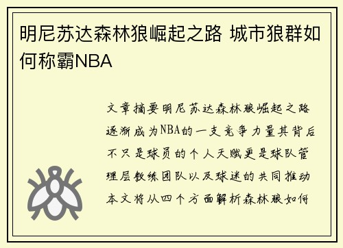 明尼苏达森林狼崛起之路 城市狼群如何称霸NBA